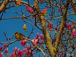 20070309 01.jpg